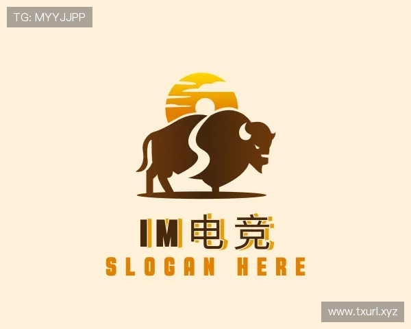 介绍im电竞平台官网入口